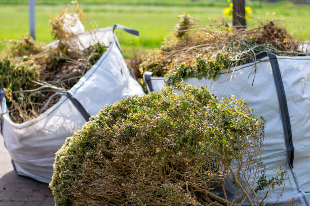 Best Recycling Services for Junk  in Zumbrota, MN